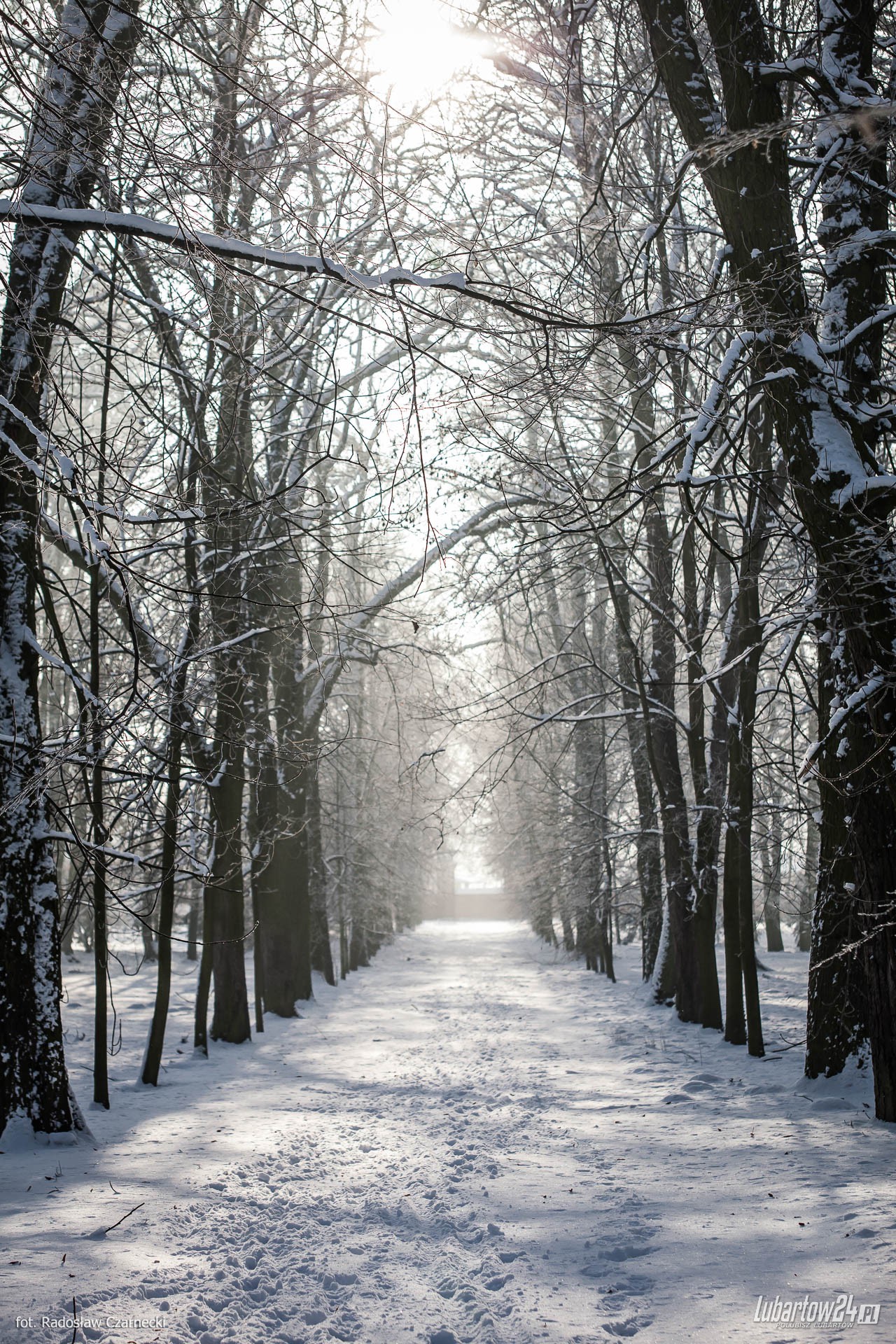 Kozłówka