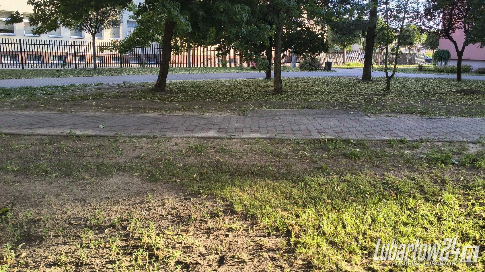 Zieleń zamienia się w klepisko