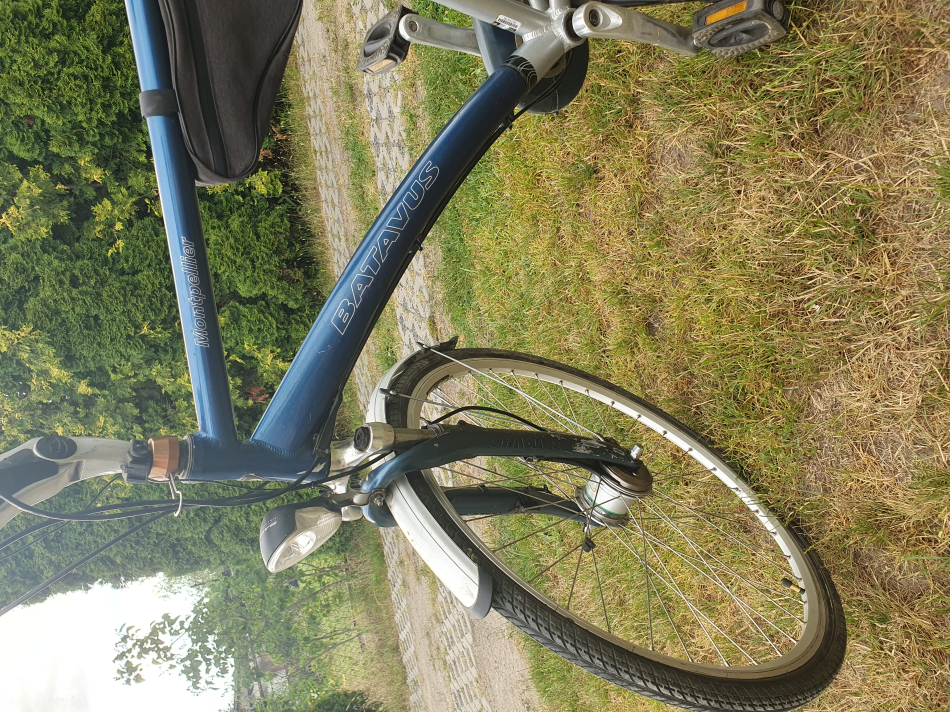 Rower Batavus