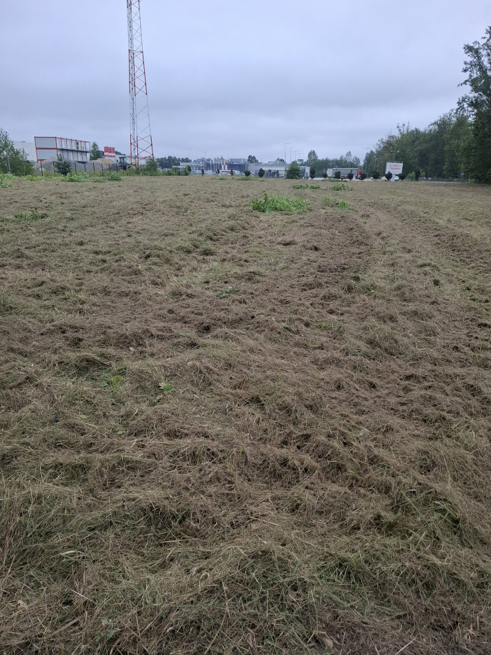 Koszenie nieużytków