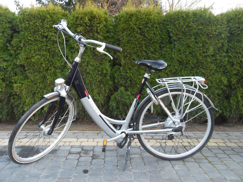 Batavus